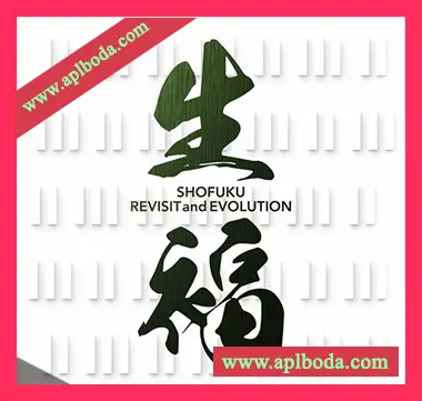 [Korg Opsix预置氛围驰放]Korg Revisit and Evolution（59Kb）