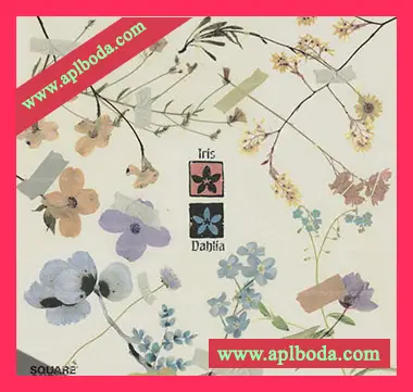 [怀旧乐采样]Oscar Zulu Square One Music Library Dahlia and Iris Multi-Kit [WAV]（468Mb）