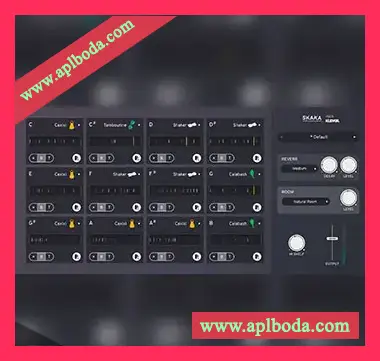 [打击乐器音序器插件]Klevgrand Skaka v1.0.0 [WiN, MacOSX]（208Mb）