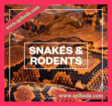 [蛇和啮齿动物音效FX采样]Blastwave FX Snakes and Rodents [WAV]（21Mb）