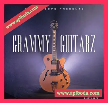 [嘻哈RnB吉他采样]HOOKSHOW GRAMMY GUITARZ [WAV]（69Mb）