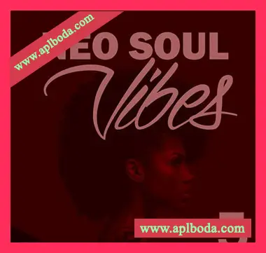 [灵魂RnB采样]Big Citi Loops Neo Soul Vibes 5 [WAV]（33Mb）