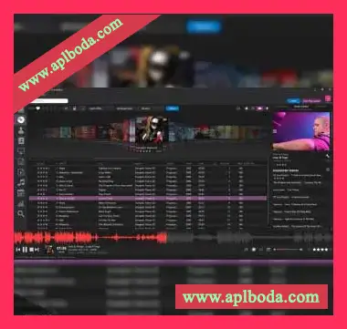 [音频文件管理工具]Helium Music Manager v13.30 Premium [WiN]（24Mb）