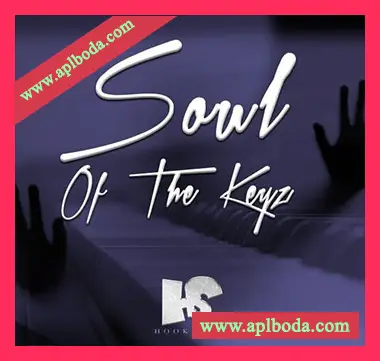 [灵魂放克RnB键盘和弦采样]Big Citi Loops Soul Of The Keyz [WAV]（236Mb）