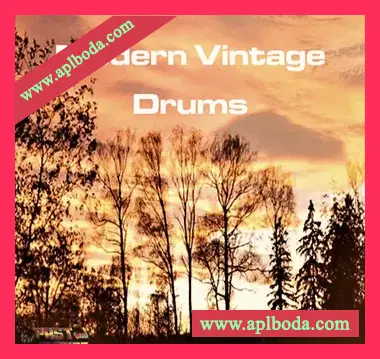 [现代老式鼓组音源]Past To Future Samples Modern Vintage Drums! [KONTAKT]（280Mb）