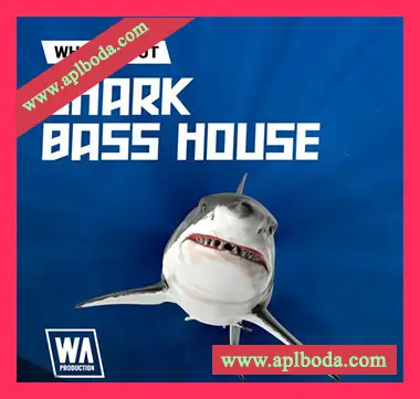 [低音浩室素材Serum预置]WA Production Shark Bass House [WAV, MiDi]（259Mb）