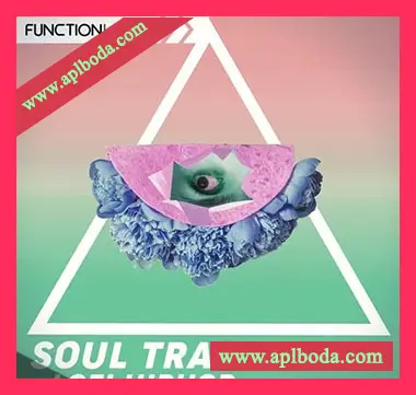 [低保真嘻哈灵魂说唱素材]Function Loops Soul Trap And Lo-Fi Hip Hop [WAV, MiDi]（179Mb）