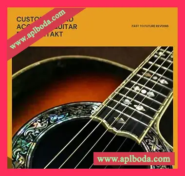 [原声吉他音源]PastToFutureReverbs Custom Legend Acoustic Guitar [KONTAKT]（97Mb）