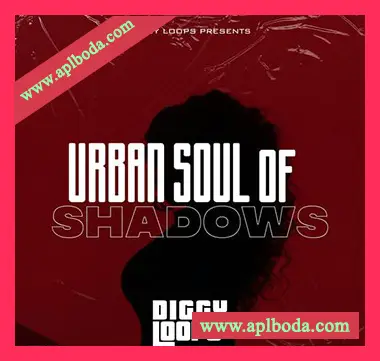 [灵魂RnB采样]Big Citi Loops Urban Soul Of Shadows [WAV]（89Mb）