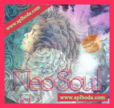 [新灵魂RnB放克采样]Drumdrops Neo Soul Vol.2 [WAV]（711Mb）