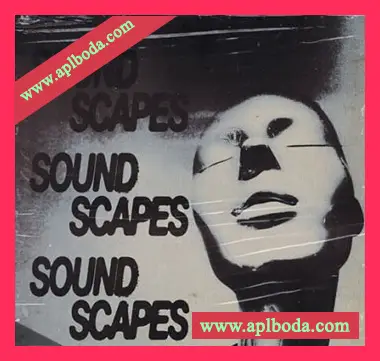 [嘻哈陷阱采样]Loops 4 Producers Soundscapes [WAV]（139Mb）