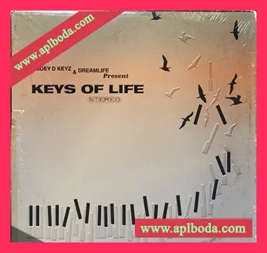 [灵魂嘻哈RnB采样]The Sample Lab Keys of Life (Compositions) [WAV]（137Mb）