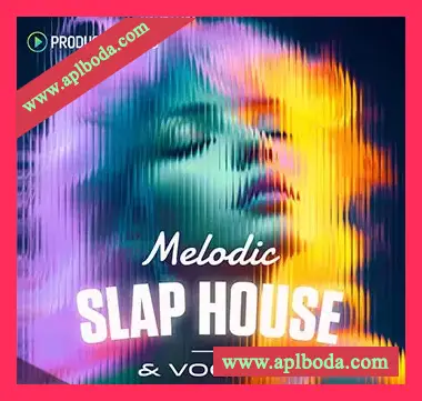 [SlapHouse人声素材]Producer Loops Melodic Slap House and Vocals [多格式]（3.94Gb）
