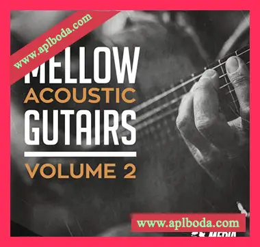 [民谣拉丁氛围原声吉他采样]New Beard Media Mellow Acoustic Guitars Vol.2 [WAV]（13Mb）