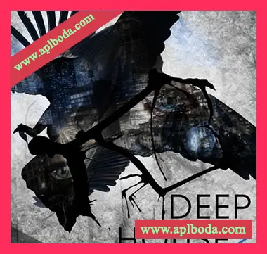 [Deep深邃舞曲采样]SPF Samplers Deep House 2 [WAV]（244Mb）