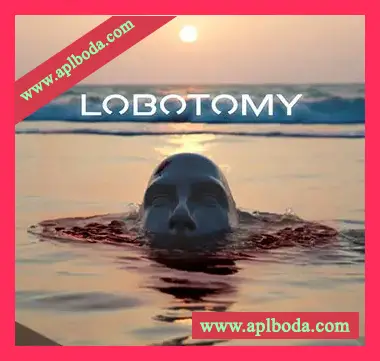[嘻哈说唱素材Analog Lab预置]VGNs Components of a Lobotomy [WAV, MiDi]（3.89Gb）