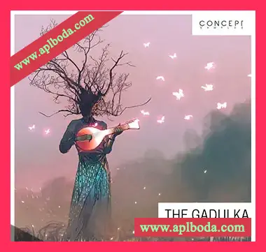 [传统巴尔干弦乐民俗风情采样]Concept Samples The Gadulka [WAV]（1.16Gb）