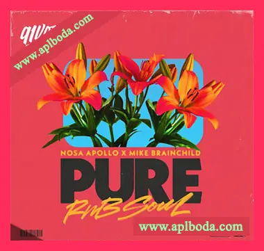 [灵魂RnB采样]91Vocals Pure RnB Soul Nosa Apollo x Mike Brainchild [WAV]（624Mb）