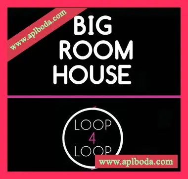 [浩室采样]Loop 4 Loop Big Room House [WAV]（23Mb）