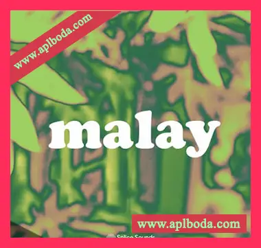 [氛围驰放采样]Splice Sounds Malay Sample Pack [WAV]（78Mb）