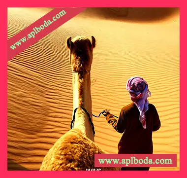 [阿拉伯民族采样]Claro Beats 100% Arabic Vol.4 [WAV]（322Mb）
