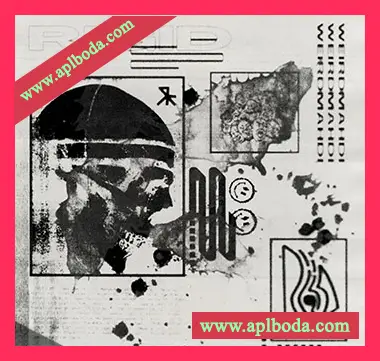 [氛围驰放采样]Cash Gang Weird Mahdi Rigid Sample Pack [WAV]（212Mb）
