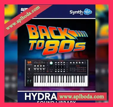 [ASM Hydrasynth预置怀旧合成波]SynthCloud Back to 80s for Hydrasynth（2Mb）
