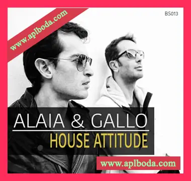 [浩室采样]Bingoshakerz Alaia and Gallo House Attitude [WAV]（177Mb）