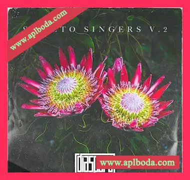 [传统南非风格人声采样]Diaspora Soweto Singers Vol.2 [WAV]（212Mb）