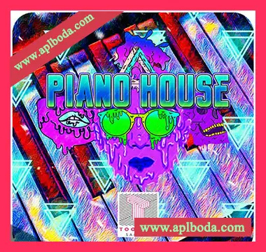 [浩室钢琴采样]Toolbox Samples Piano House [WAV]（274Mb）