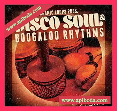 [怀旧迪斯科拉丁RnB节奏采样]Organic Loops Disco Soul and Boogaloo Rhythms [WAV, REX]（1.67Gb）