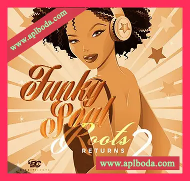 [灵魂放克爵士嘻哈采样]Big Citi Loops Funky Soul Roots Returns 2 [WAV]（212Mb）