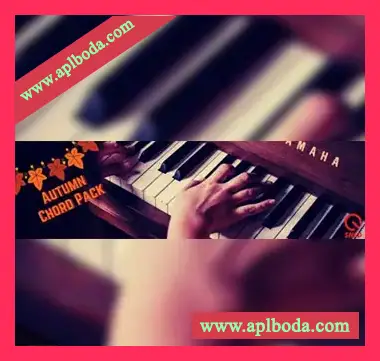 [氛围电子嘻哈浩室MiDi素材]SHLD Music Latest Autumn 2023 Midi Chords Pack（4Mb）
