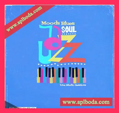 [灵魂爵士布鲁斯素材]Patchbanks Moods Blues Soul Jazz Vol.1 [AiFF]（247Mb）