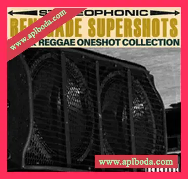 [雷鬼Dub采样]Renegade Audio Bass Culture [WAV]（528Mb）