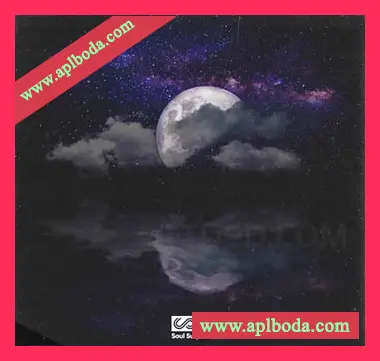 [低保真合成器浪潮采样]Soul Surplus Celestial Lofi Synth Wave [WAV]（320Mb）