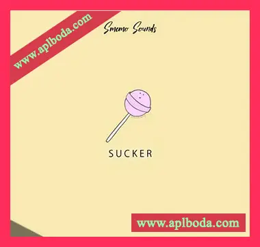 [RnB嘻哈陷阱采样]Smemo Sounds SUCKER [WAV]（64Mb）