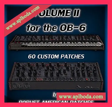 [OB-6预置电子乐]Robust American Patches 100 Patches for the OB-6 Synthesizer (Volume 2)（386Kb）