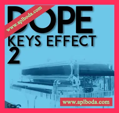 [灵魂爵士RnB钢琴键盘采样]Big Citi Loops Dope Keys Effect 2 [WAV]（126Mb）