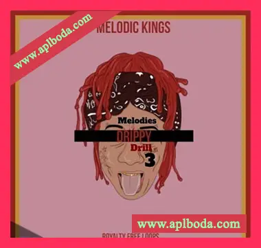 [Trap陷阱旋律采样]Melodic Kings Drippy Drill Melodies 3 [WAV]（44Mb）