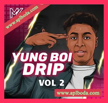 [嘻哈RnB采样]Melodic Kings Yung Boi Drip Vol.2 [WAV]（37Mb）