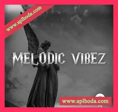 [嘻哈说唱采样]Studio Trap MELODIC VIBEZ [WAV]（130Mb）