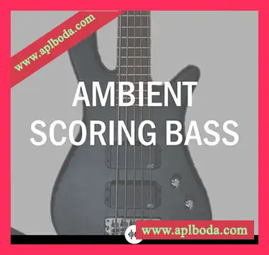 [五弦Warwick电贝斯指弹音源]Simple Samples Audio Ambient Scoring Bass v1.1.0 [KONTAKT]（264Mb）