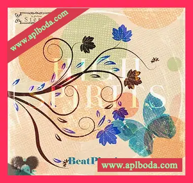 [灵魂嘻哈RnB采样]BeatPhoria Sounds High Spirits [WAV]（64Mb）