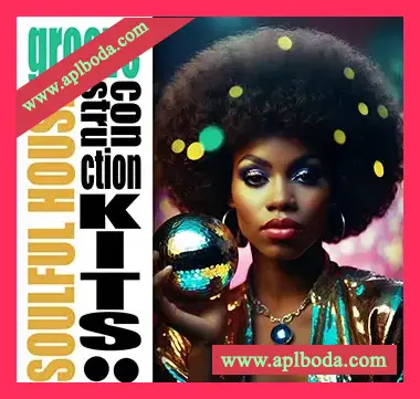 [浩室采样]Loopoholics Soulful House Groove Construction Kits [WAV]（313Mb）