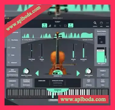 [弦乐独奏建模乐器插件]Audio Modeling SWAM Solo String V3 v3.10.0 [WiN]（73.2Mb）