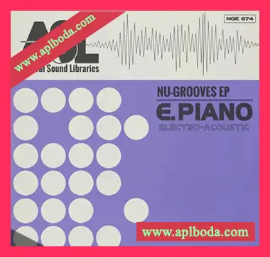 [灵魂RNB素材]Patchbanks Nu-Grooves EP [AiFF]（138Mb）
