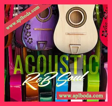 [灵魂RnB采样]Big Citi Loops Acoustic RnB Soul [WAV]（182Mb）