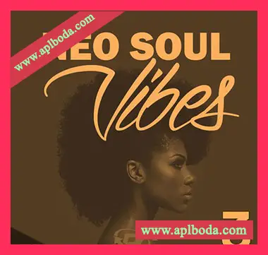 [灵魂RnB采样]Big Citi Loops Neo Soul Vibes 3 [WAV]（69Mb）
