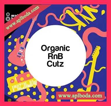 [灵魂嘻哈RnB采样]Multiton Bits Organic RnB Cutz [WAV]（303Mb）